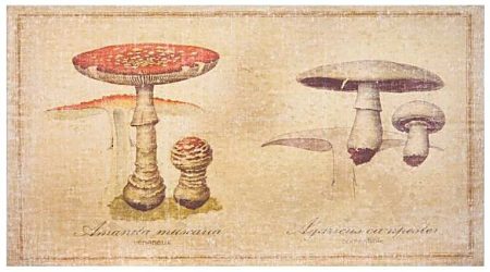 Tableau Collection CHAMPIGNONS : ‘Amanites Phalloïdes’ — Long. 50 x Haut. 70 x Prof. 4 cm